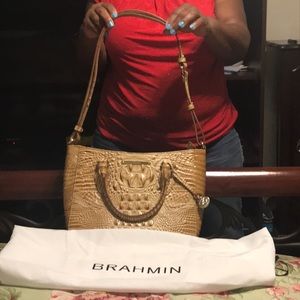 Brahmin Purse